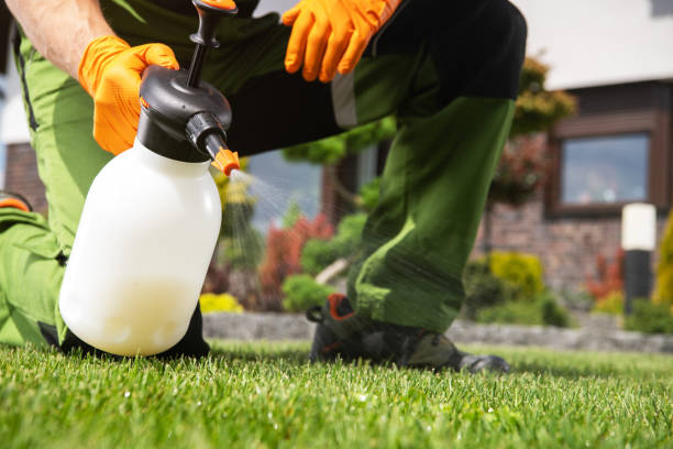 Best Residential Pest Control  in Ukiah, CA