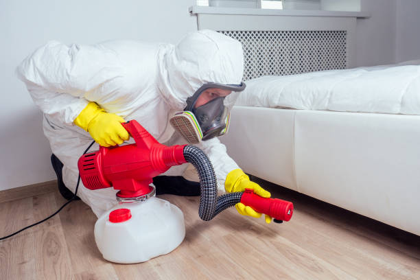 Best Local Pest Control Services  in Ukiah, CA