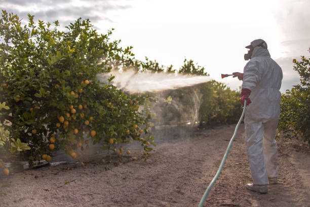 Best Emergency Pest Control  in Ukiah, CA