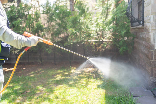 Best Mosquito Control Services  in Ukiah, CA