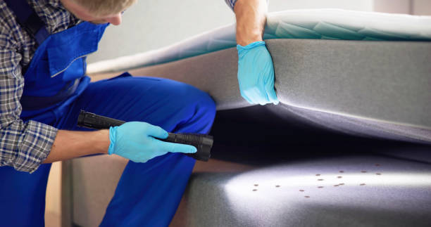 Best Affordable Pest Control Services  in Ukiah, CA