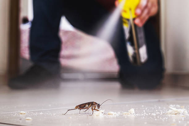 Best Bed Bug Extermination  in Ukiah, CA
